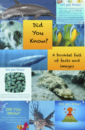 Booklet  KS2.  'Did You Know?' Activity