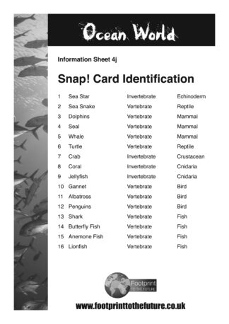 Game: KS1 &2 Marine Animal Snap Cards + Plus