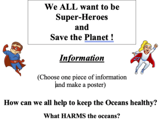 Booklet  KS2. 'Save the Planet' Worksheets (Year 4+)