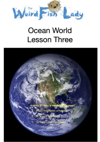 Recommended LESSON PLAN Materials for Year FOUR - Ocean World Lesson 3- 'Why Water is Important'