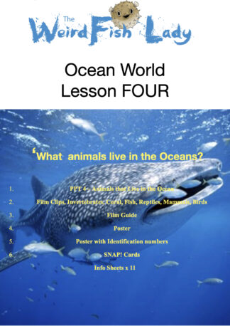 Lesson Plans