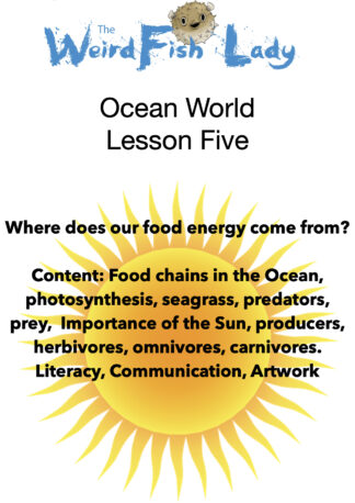 Recommended LESSON PLAN Materials for Year FIVE -Ocean World Lesson 5 - 'where does our food Energy Come from?'