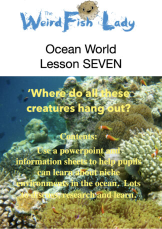Recommended Lesson Plan for YEAR FIVE - Ocean World Lesson 7 - 'Where do all these creatures hang out?'?'