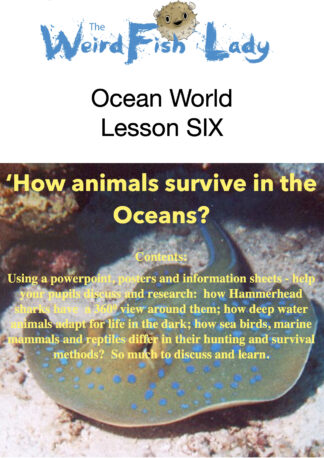 Recommended Lesson Plan for YEAR FIVE - Ocean World Lesson 6 - 'How do Animals Survive in the Oceans?'
