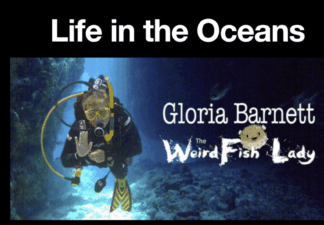 Narrated Talk - "Life in the Oceans"