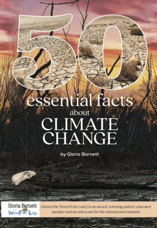 50 Facts - Climate Change - Powerpoint (Year 6 +)