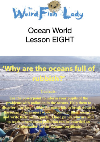 Recommended Lesson Plan for YEAR SIX - Ocean World Lesson 8 - 'Why are the Oceans full of Rubbish'
