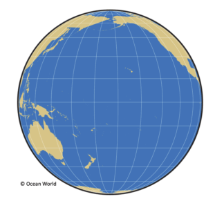 Weird Fish Lady Primary Teachers' Ocean Resource YEAR FIVE  (Age 9-10)