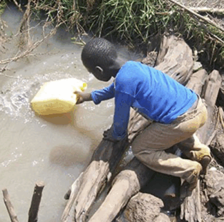 Weird Fish Lady Primary Teachers' Ocean Resource YEAR THREE (Age 7-8)