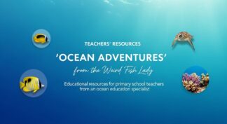 Weird Fish Lady  - 'Ocean Adventures'   -   Teachers' Resource  -    YEAR TWO.  (Ages 6-7)